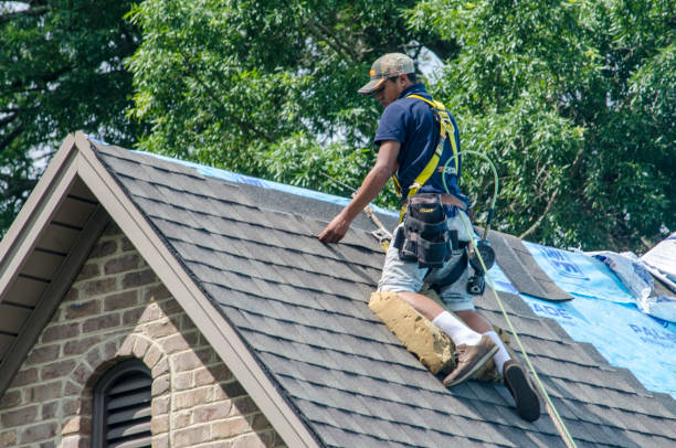 Best Roof Gutter Cleaning  in Bishop, CA